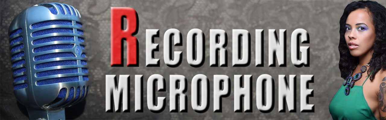 Top rated recording microphones